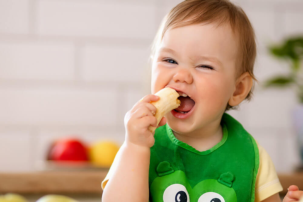 pediatra introducao alimentar puericultura nutricao bebes